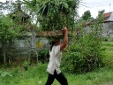 ubud (49)